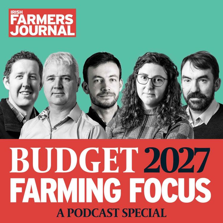 cover art for Budget 2027 - Minister Heydon defends the measures for farmers in exclusive interview