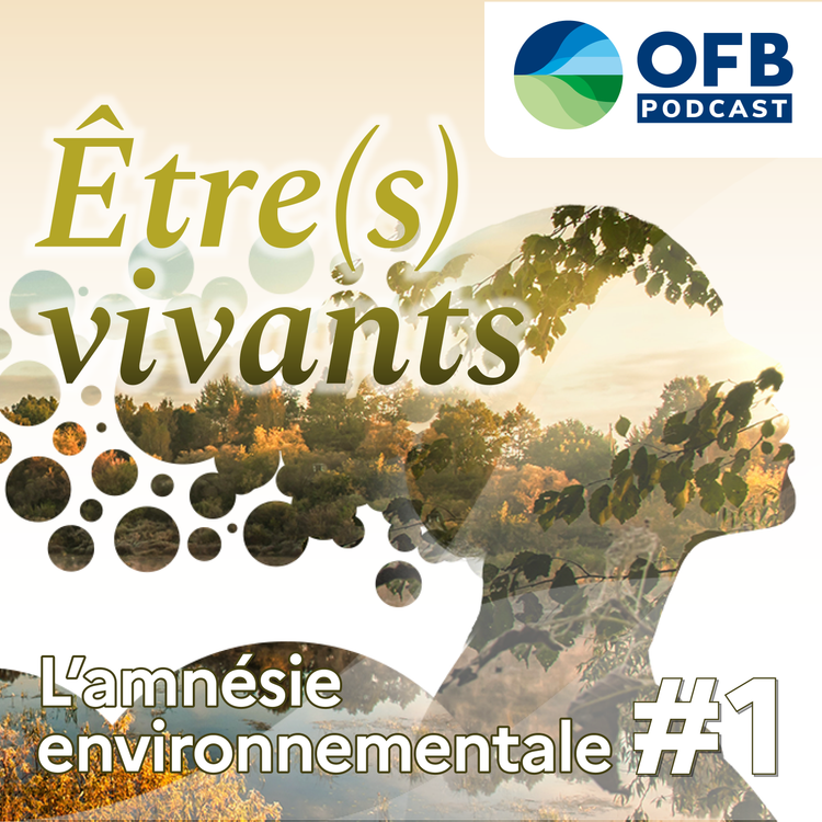 cover art for Amnésie environnementale