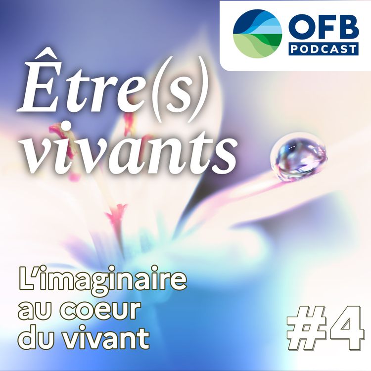 cover art for Episode 4 : « L’imaginaire au cœur du vivant »