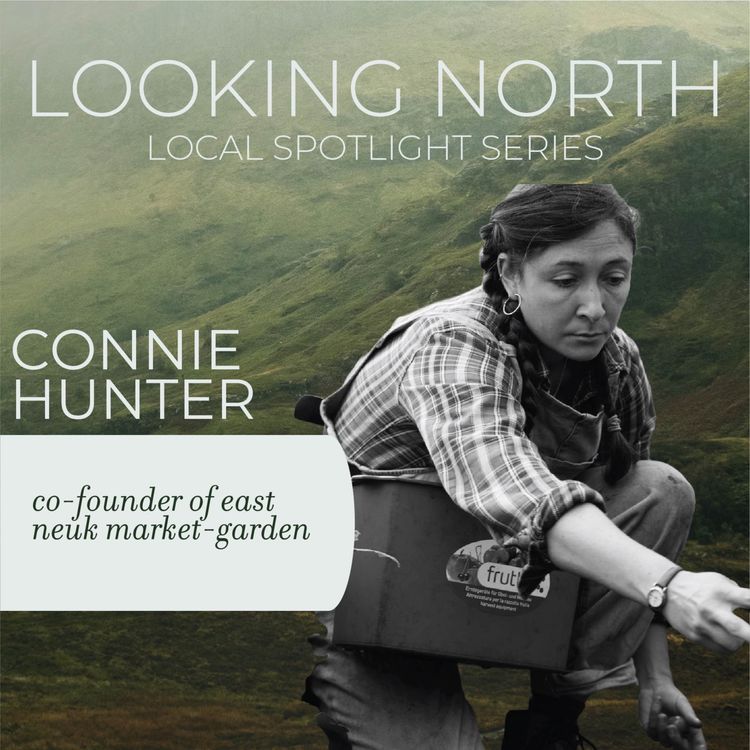 cover art for Local Spotlights: Connie Hunter/ East Neuk Market Garden