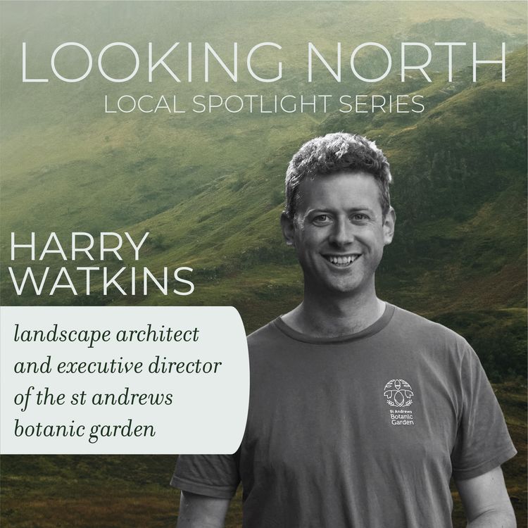 cover art for Local Spotlights: Harry Watkins/ St Andrews Botanic Garden
