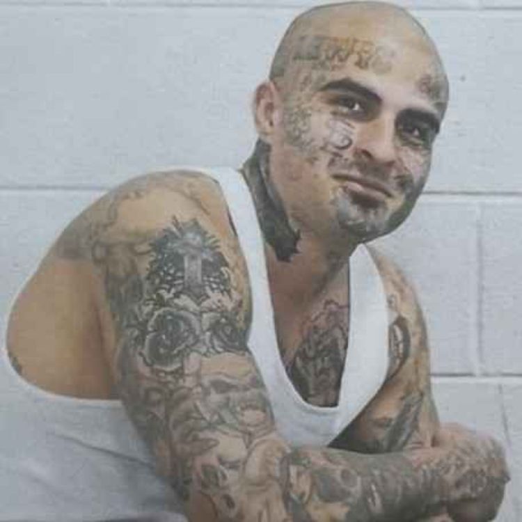 cover art for EXTRA: A Foot in Both Worlds - State of the Human