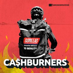 cover art for Cashburners: die Gorillas-Story