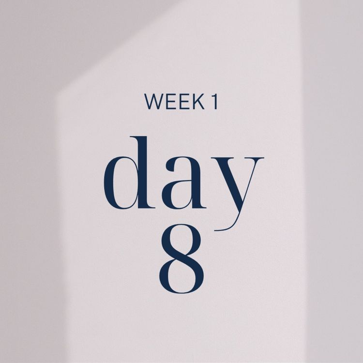 cover art for Day 8: The Scale Went Up. That's a Good Sign.