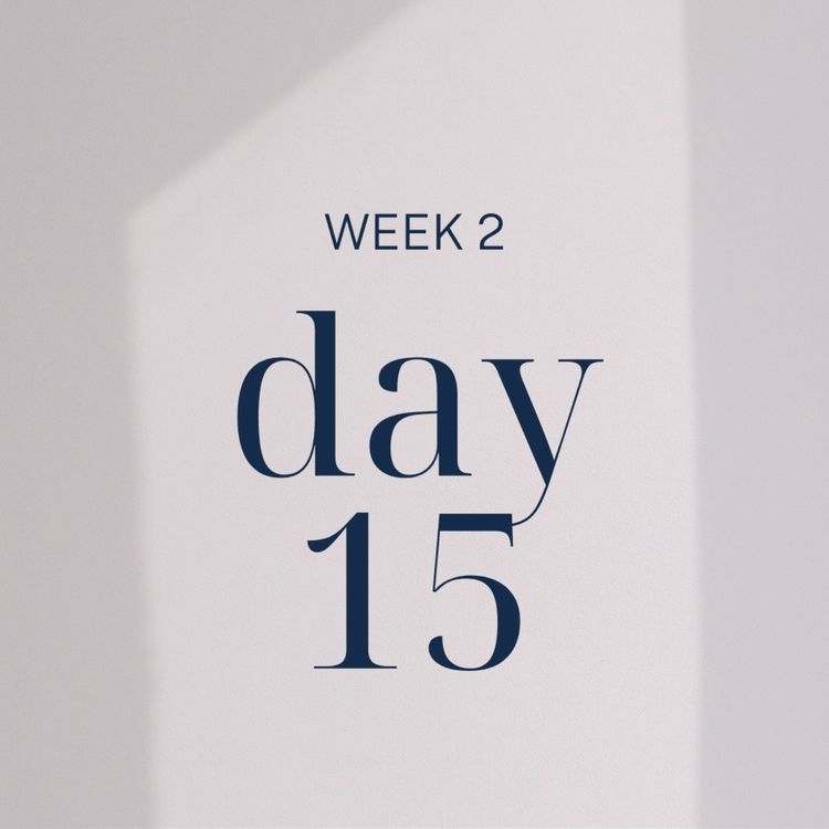 cover art for Day 15: Your Body Isn't Stalled. It's Busy.