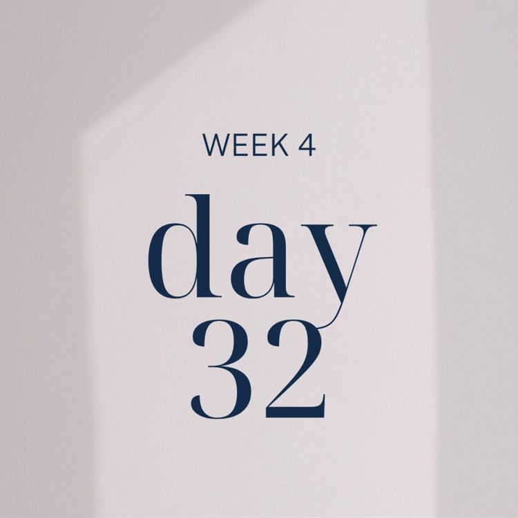 cover art for The Livy Method: Week 4, Day 32 with Dr. Paul Hrkal