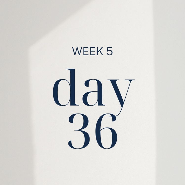cover art for The Livy Method: Week 5, Day 36