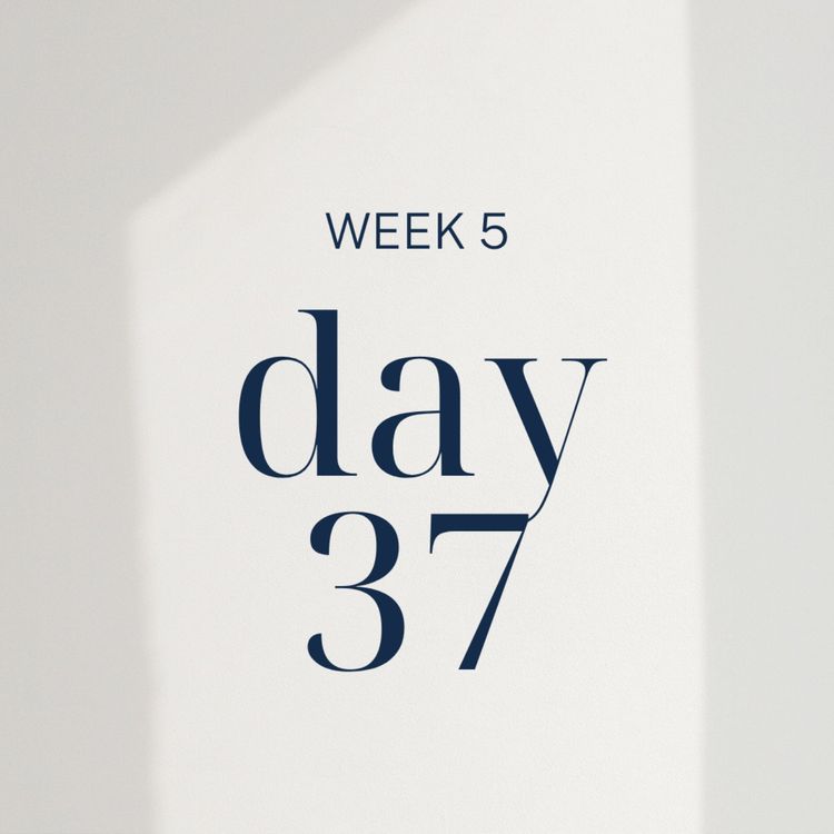 cover art for The Livy Method: Week 5, Day 37 with Dr. Olinca Trejo