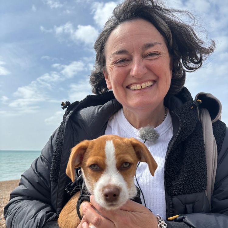cover art for Zoe Lyons (Part Two)
