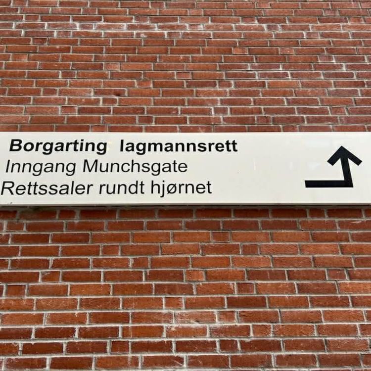 cover art for Bonusmateriale: Deler av forklaringen til medisinsk ansvarlig overlege på Gatehospitalet, Karim Sayed, under Stig Asplins ankesak mot staten i Borgarting Lagmannsrett i januar 2025