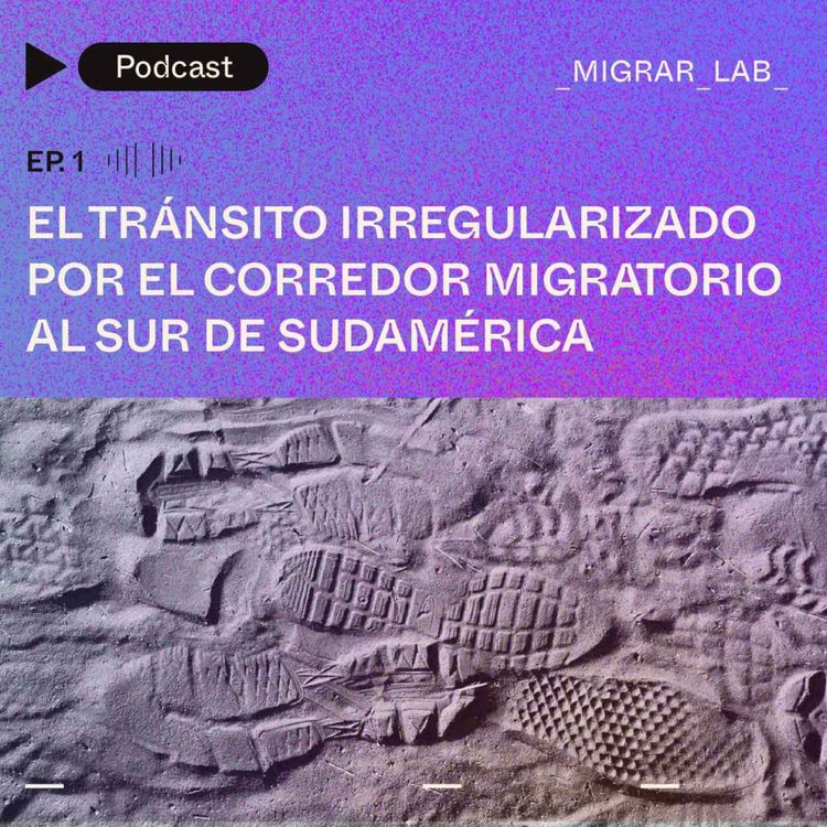 cover art for El tránsito irregularizado por el corredor migratorio al sur de Sudamérica