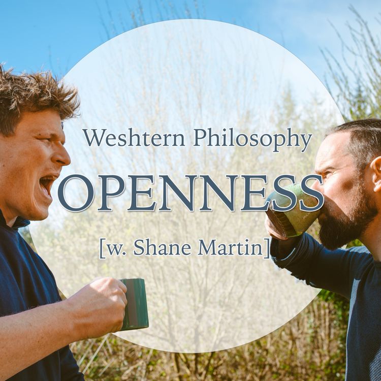 cover art for S03E08 - Openness [w. Shane Martin]