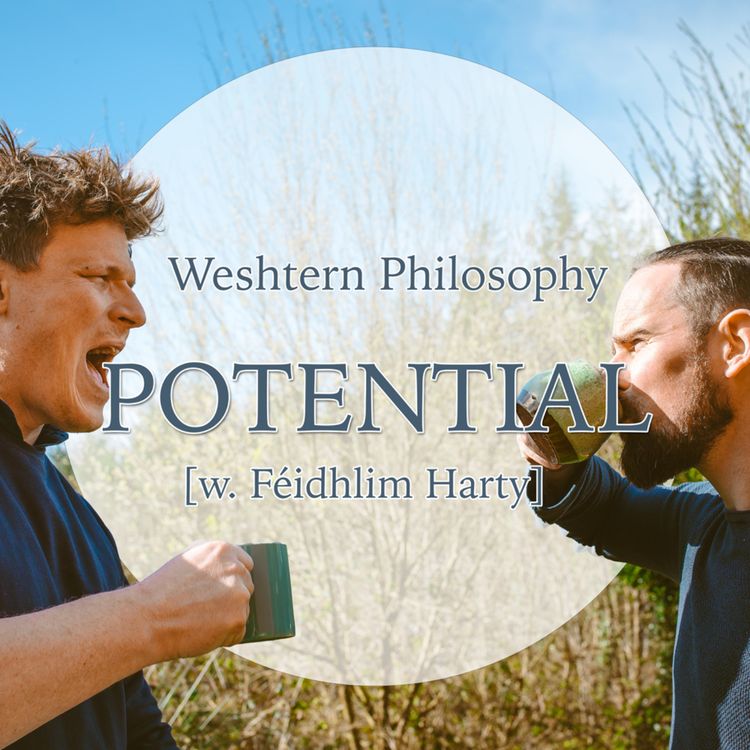 cover art for S03E11 - Potential [w. Féidhlim Harty]