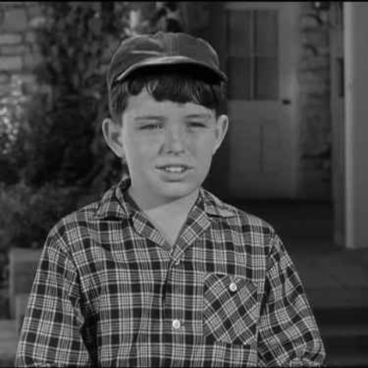 cover art for Beaver Cleaver