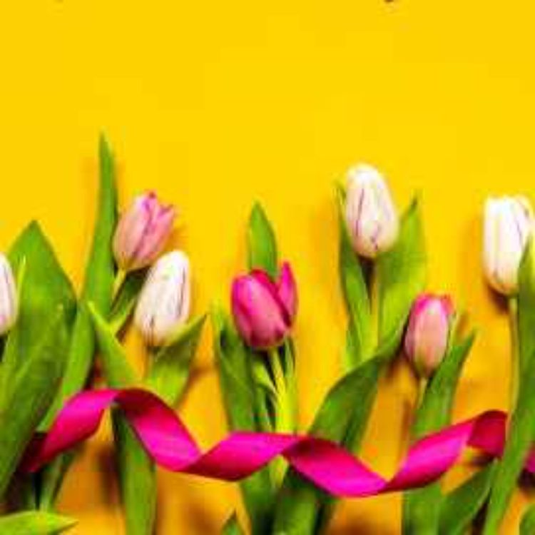 cover art for Spring Has Sprung Spectacular