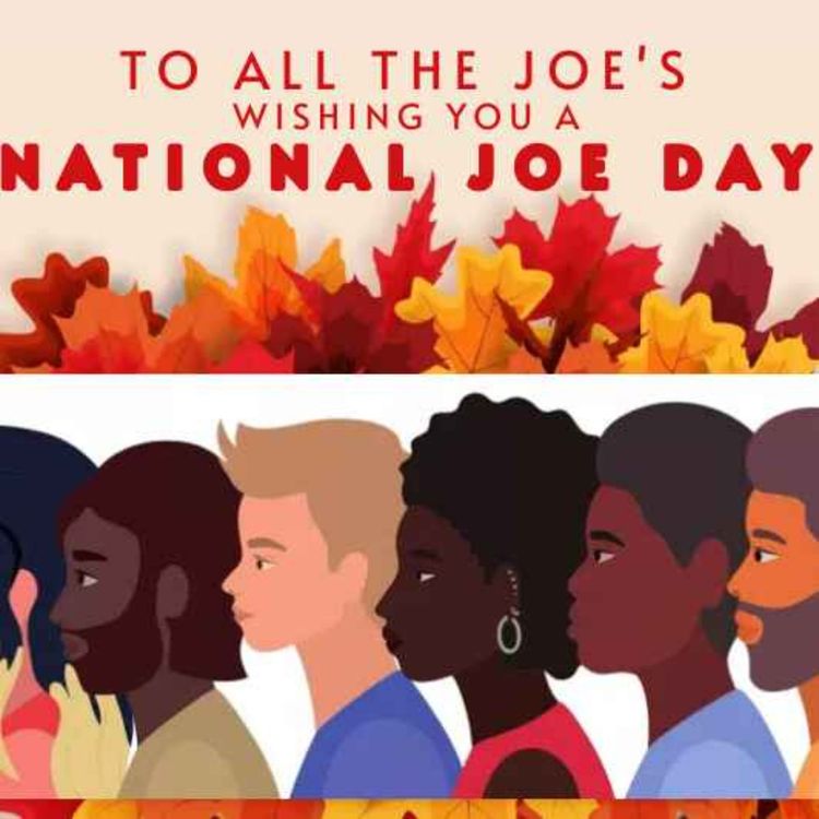 cover art for National Joe Day mini