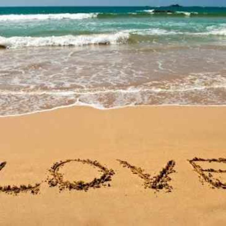 cover art for Summer Lovin'