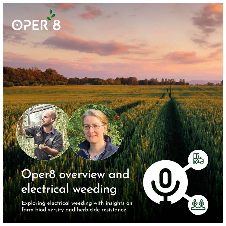 cover art for Oper8 overview and electrical weeding 