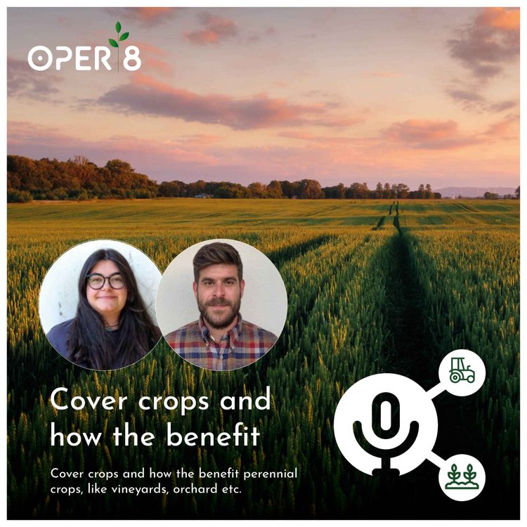 cover art for Cover crops and how the benefit perennial crops
