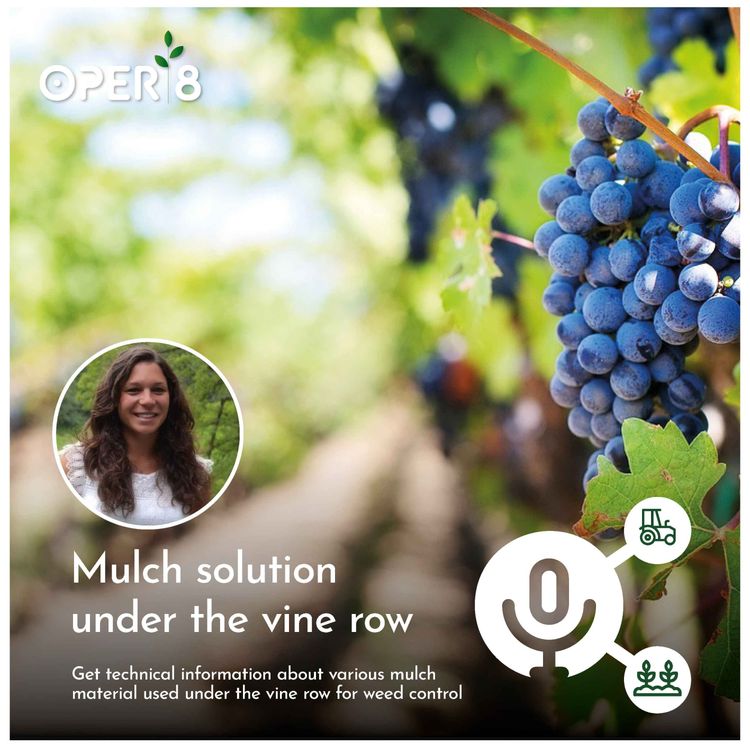 cover art for Mulch solution under the vine row