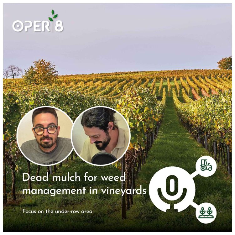 cover art for Dead mulch for weed management in vineyards in the under-row area
