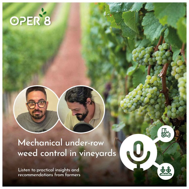 cover art for Mechanical under-row weed control in vineyards