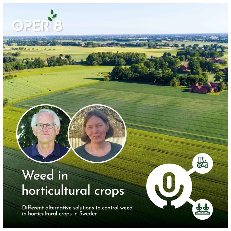 cover art for Weed in horticultural crops