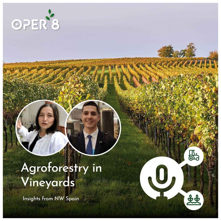cover art for Agroforestry in Vineyards: Insights from NW Spain