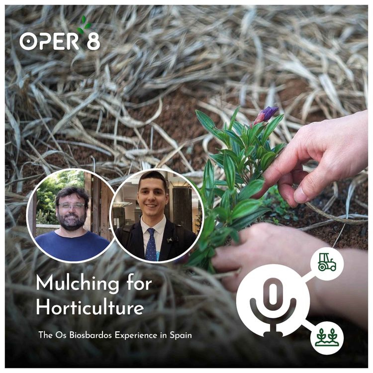 cover art for Mulching for Horticulture: The Os Biosbardos Experience
