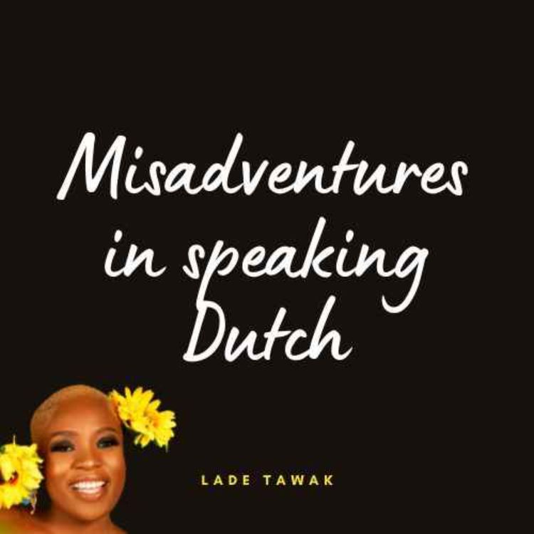 cover art for S02E313 - Misadventures in speaking Dutch