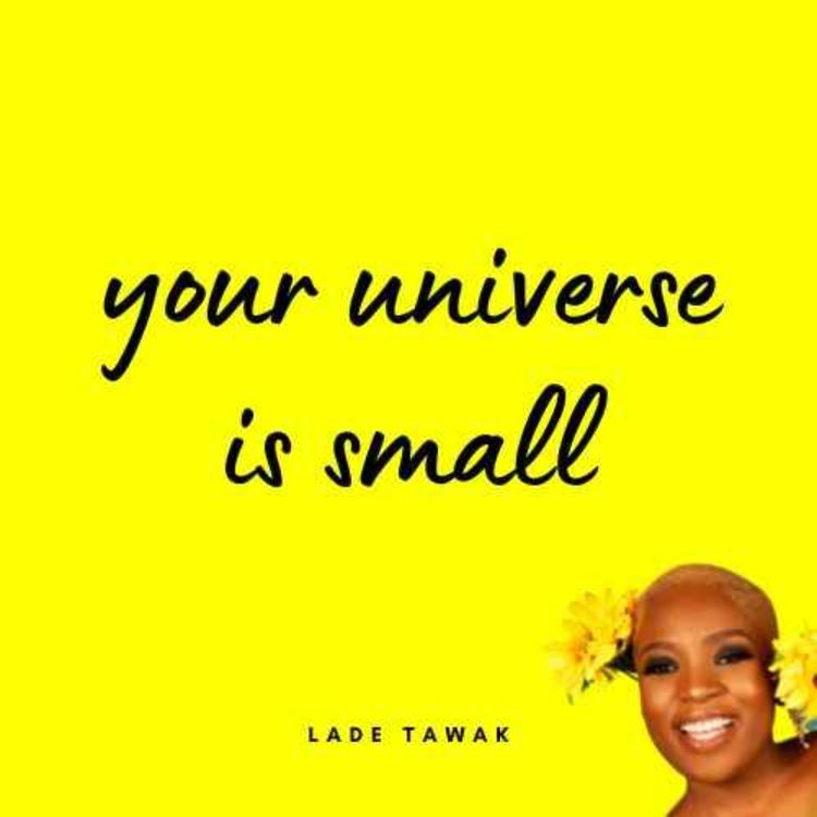 cover art for S02E356 - Your universe is small