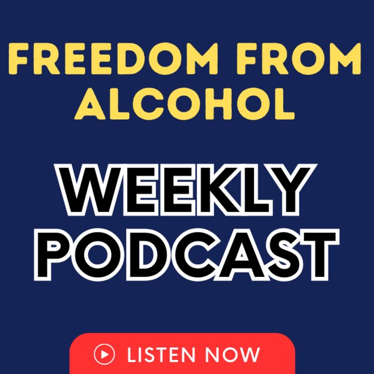 cover art for Dry Drunk vs Happy Non-Drinker