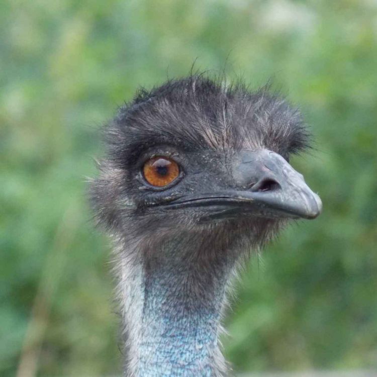 cover art for Štvrtok po 3. veľkonočnej nedeli