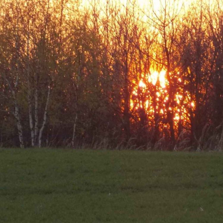 cover art for Utorok po 5. veľkonočnej nedeli