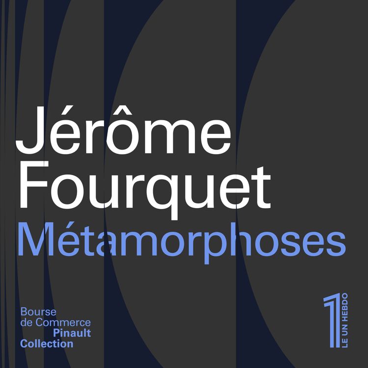 cover art for Jérôme Fourquet - Métamorphoses