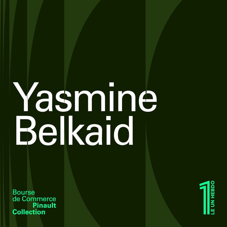 cover art for Yasmine Belkaid – Risque