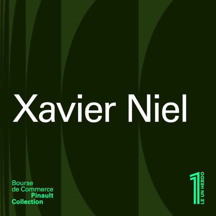 cover art for Xavier Niel - Optimisme