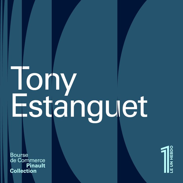 cover art for Tony Estanguet - Audace