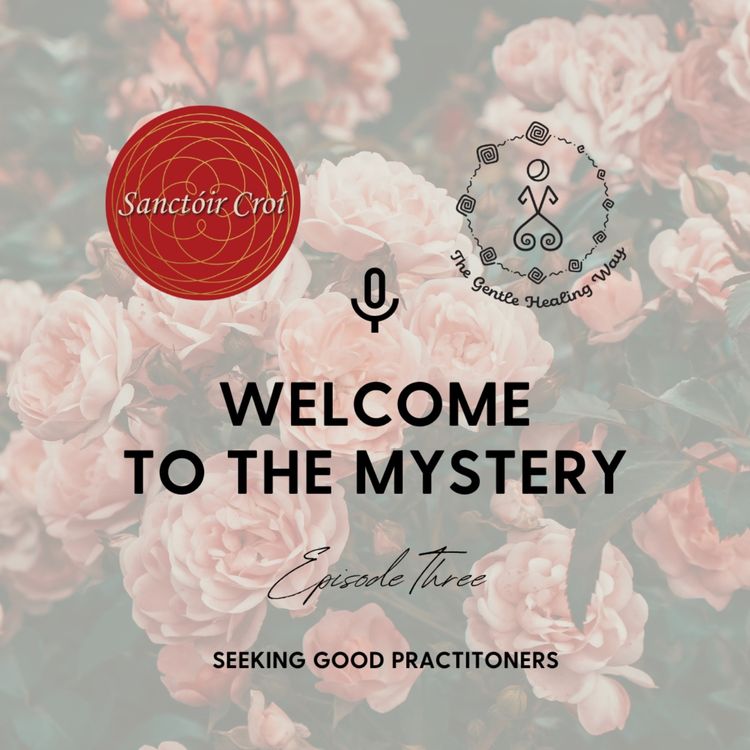 cover art for Seeking Good Practitoners