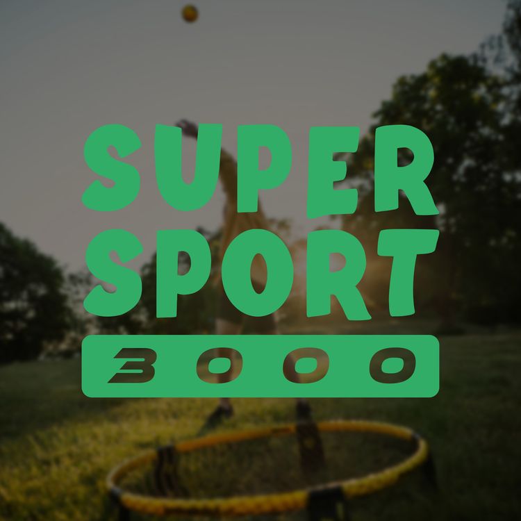 cover art for Le Spikeball
