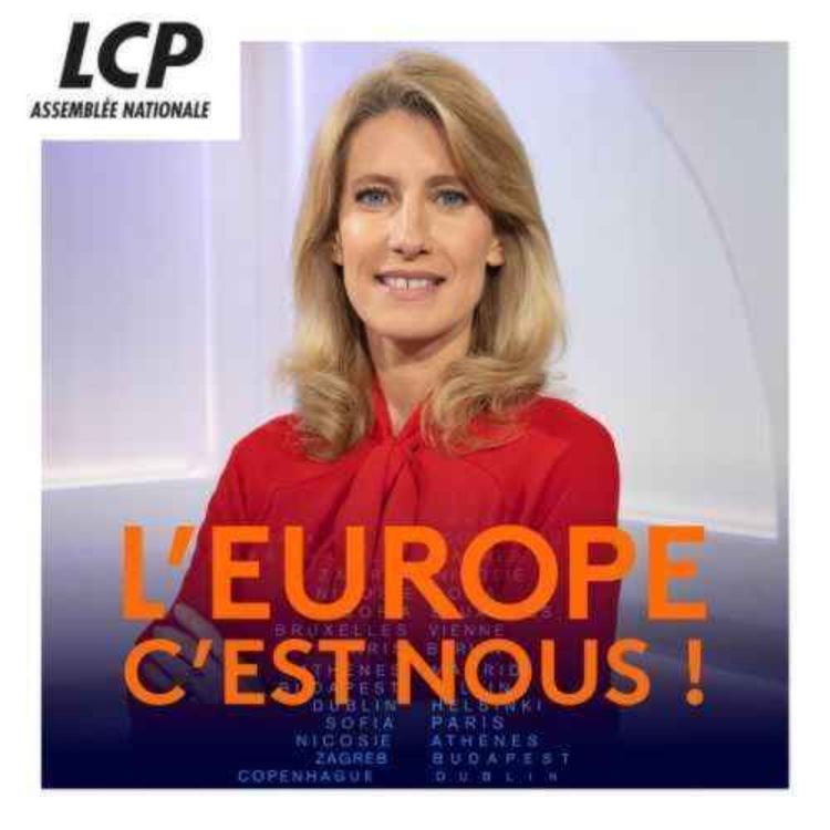 cover art for Raphaël Glucksmann, député européen et tête de liste PS / Place publique.