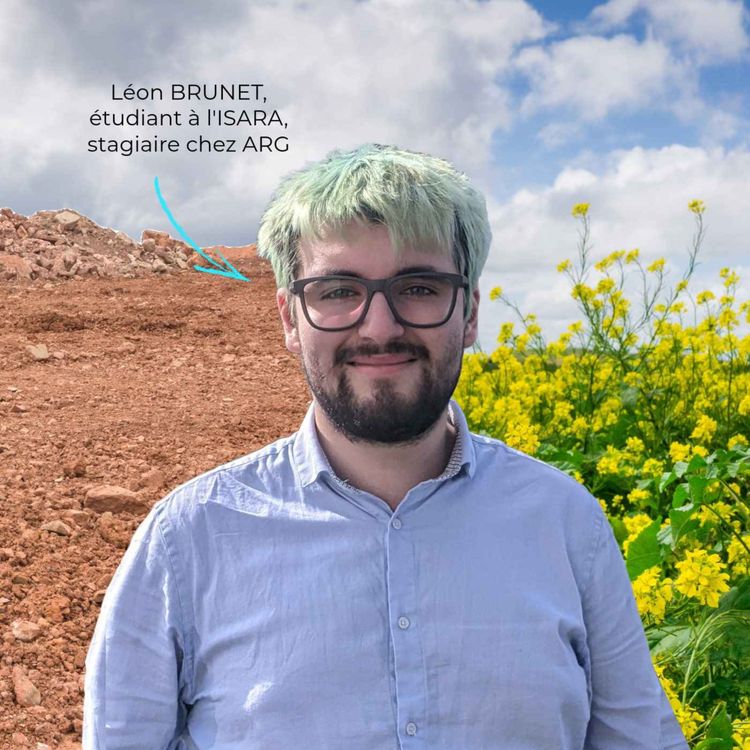 cover art for Terre à terre