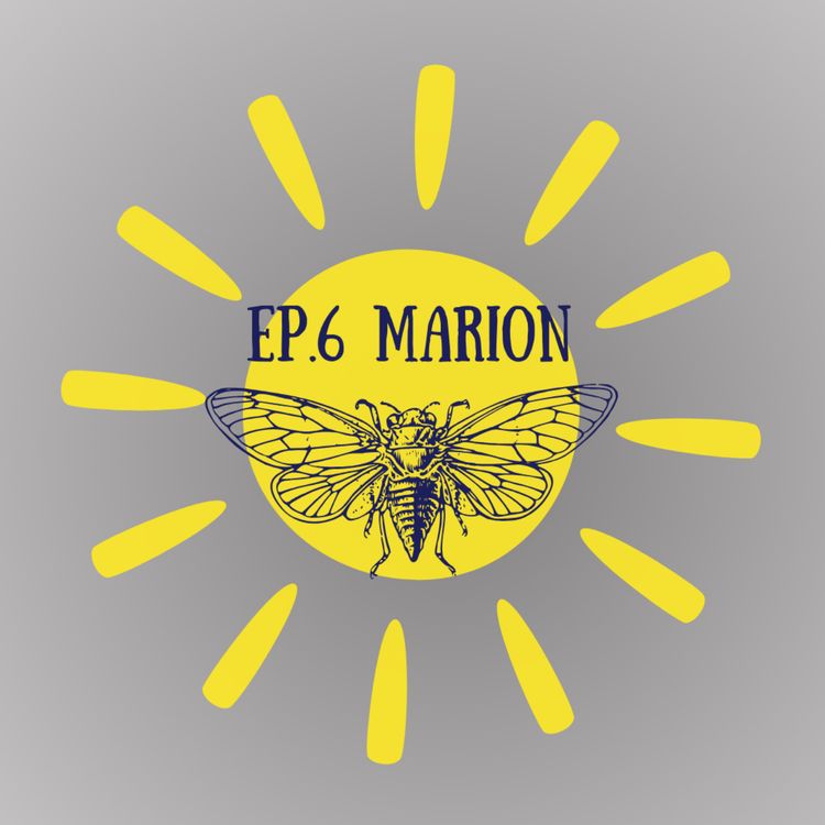 cover art for La révolte des cigales - Marion