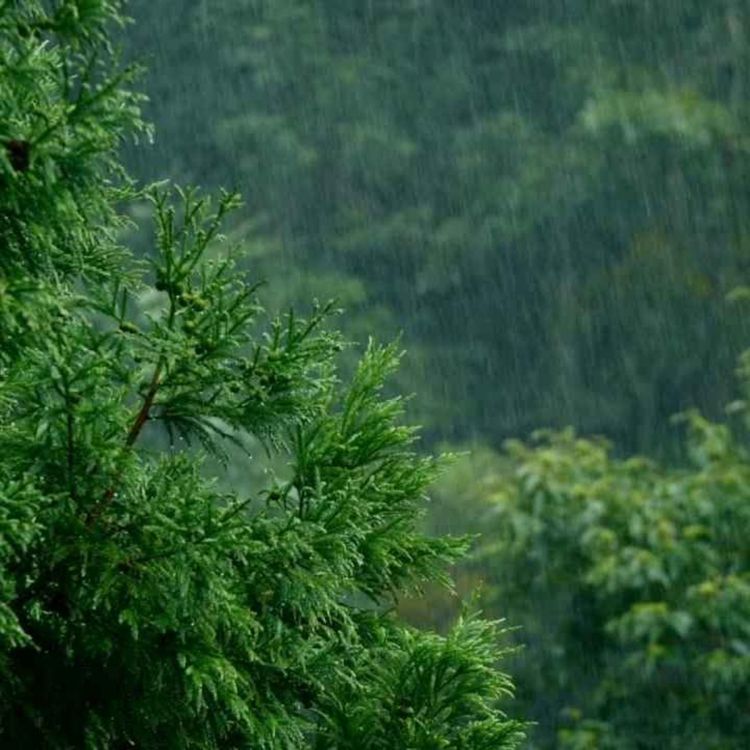 cover art for 6. Yashirinch uqubat va maxfiy ne'mat