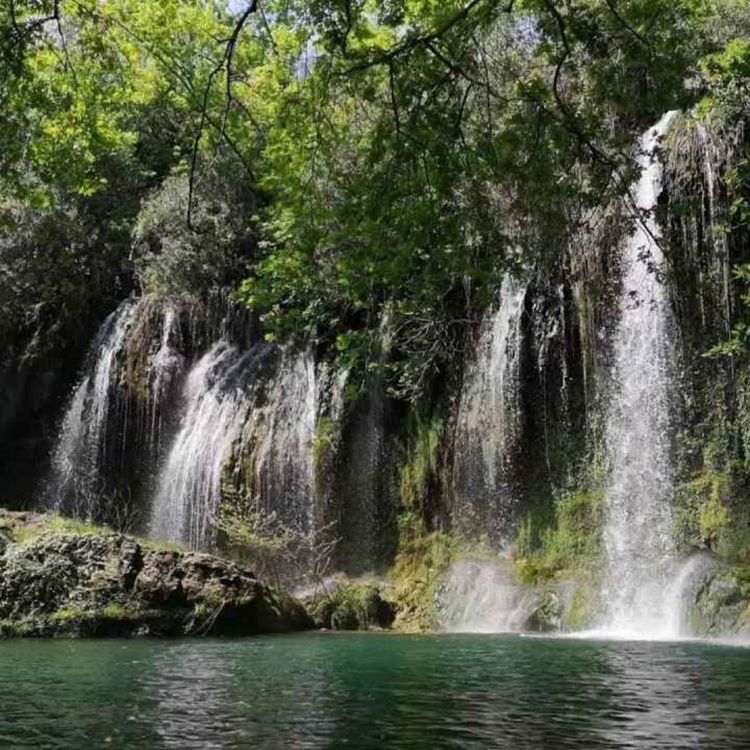 cover art for 8. Ilohiy muhabbat