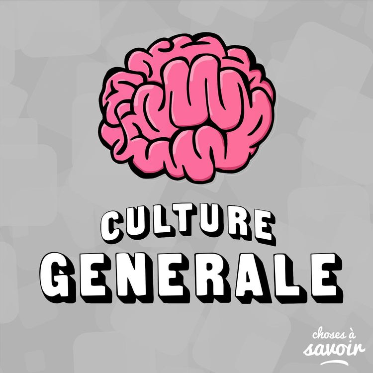 cover art for Quelle est la capacité de stockage en Go du cerveau humain ?