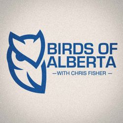 cover art for Birds of Alberta with Chris Fisher