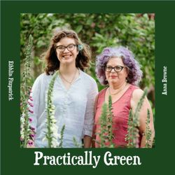 cover art for Practically Green