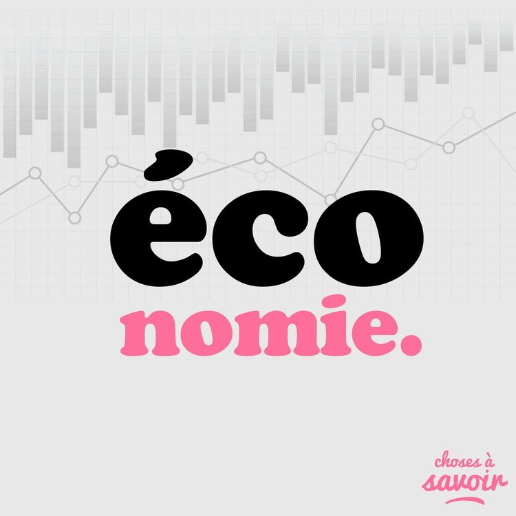 cover art for Combien gagne un député ?