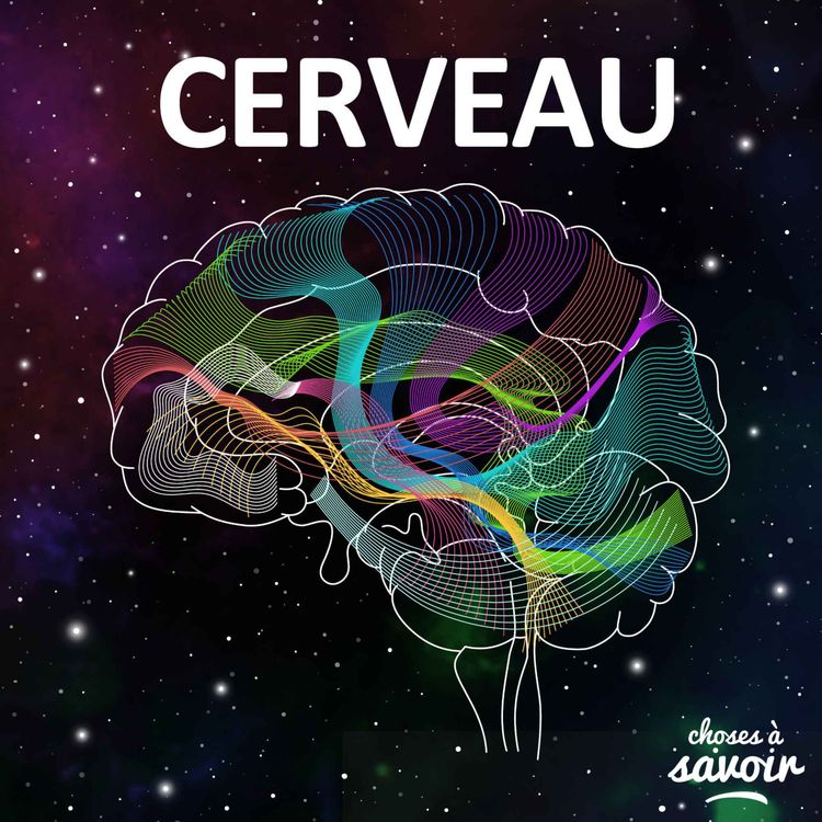 cover art for Quelle est l’action d’une anesthésie générale sur le cerveau ?